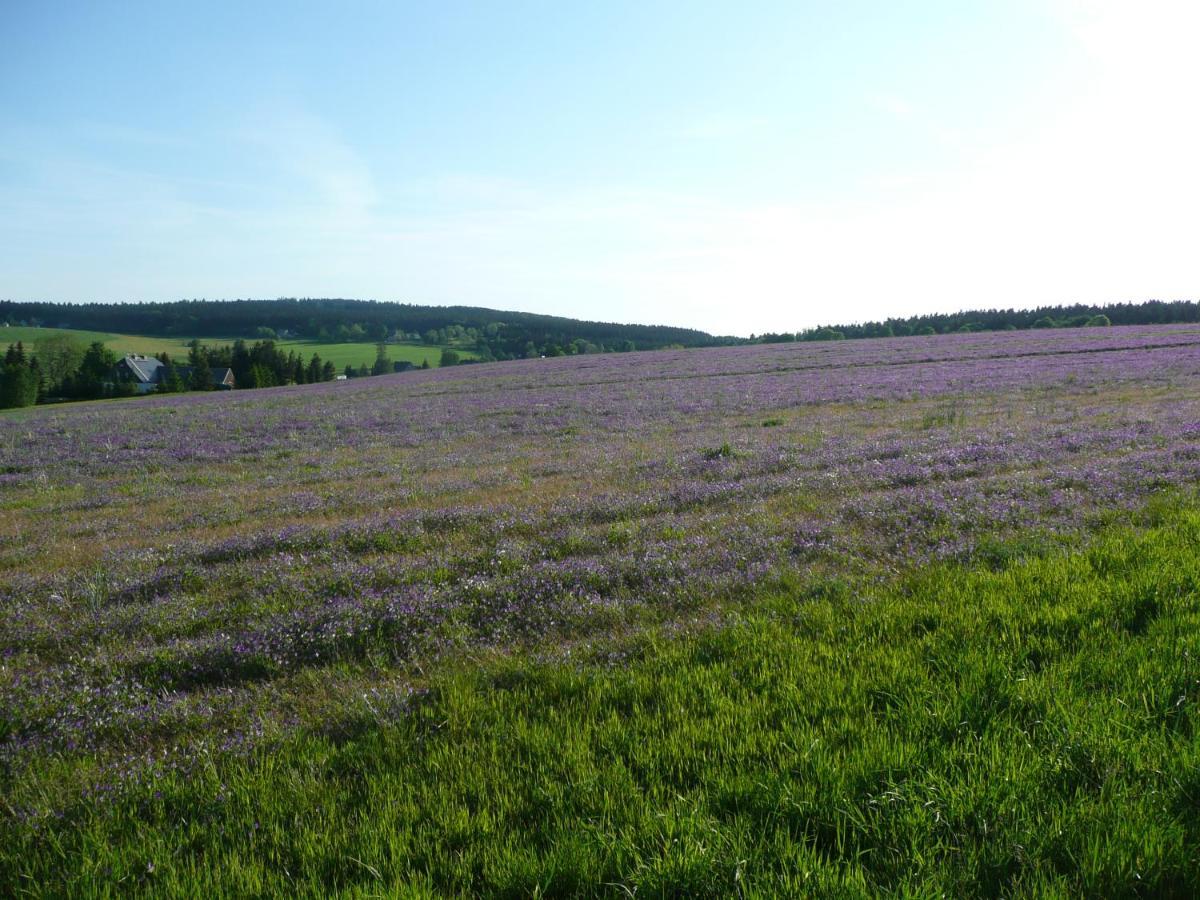 Gasthaus Ruebenau Rubenau Екстериор снимка